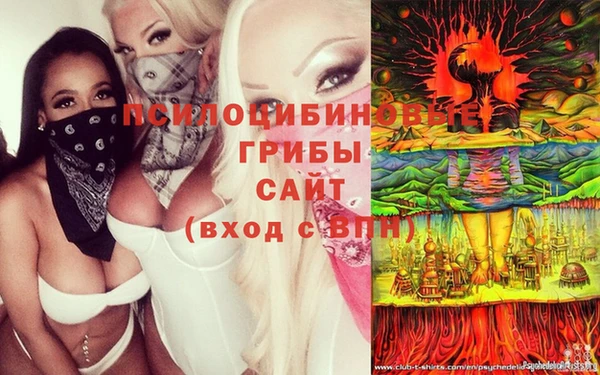 соль ск Алапаевск