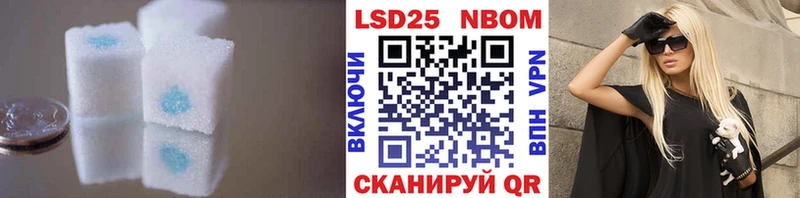 купить наркотик  Злынка  omg ТОР  ЛСД экстази кислота 